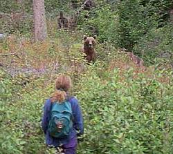 ce să fac dacă aș întâlni un urs în pădure în vară