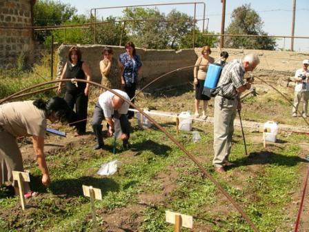 ceea ce este un PCP în decriptarea agriculturii