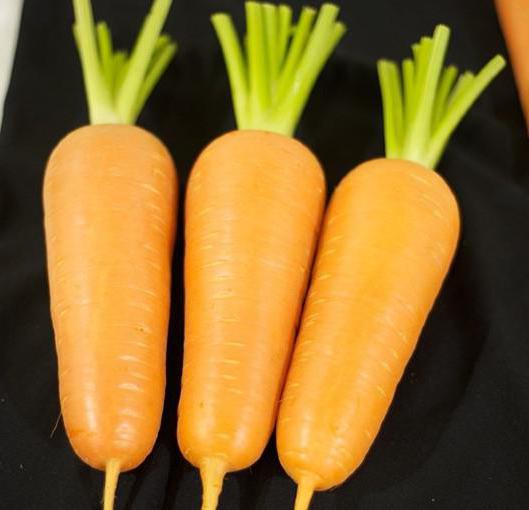 Carrot Abaco: caracteristici, cultivare, îngrijire, recenzii