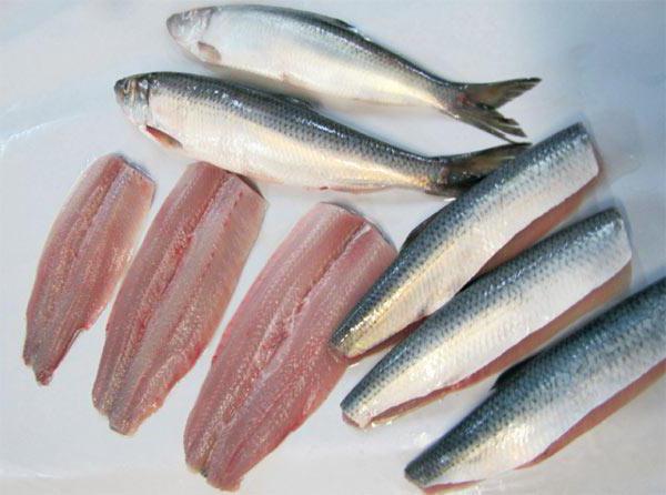 herring prajit retete de gatit