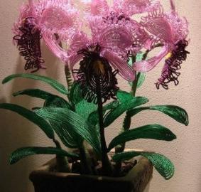 orhidee de margele fotografie