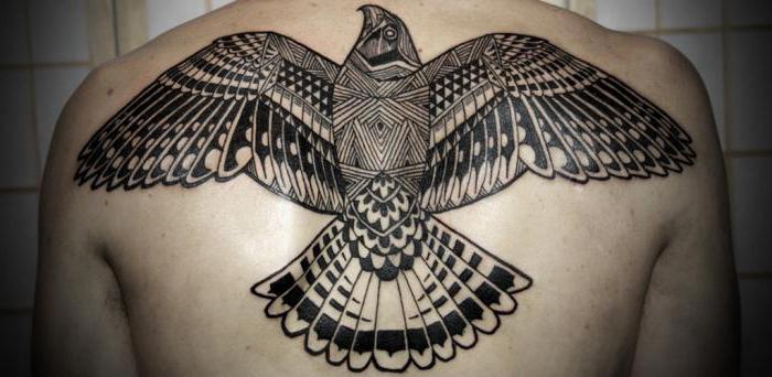 Tattoo "Falcon": caracteristici, descriere, fotografie