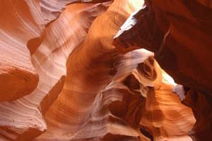 Canyon Antelope. descriere