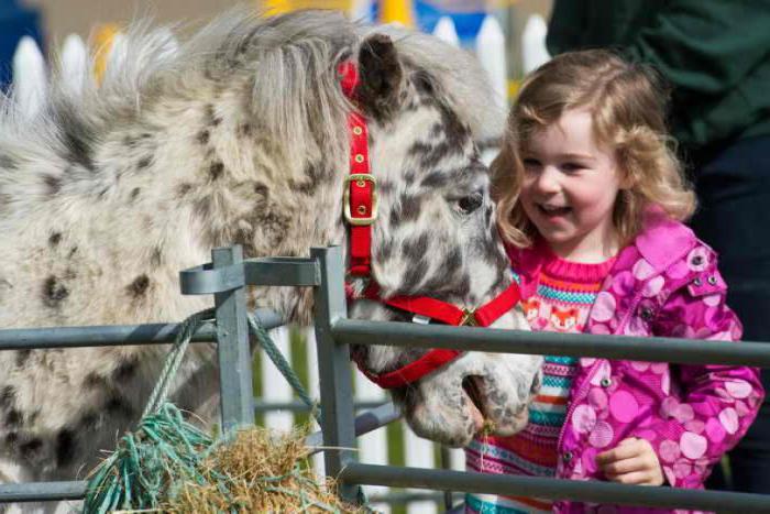 unde există o grădină zoologică de contact în Irkutsk 