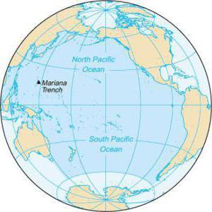 Ce continent este spălat de Oceanul Pacific: o listă
