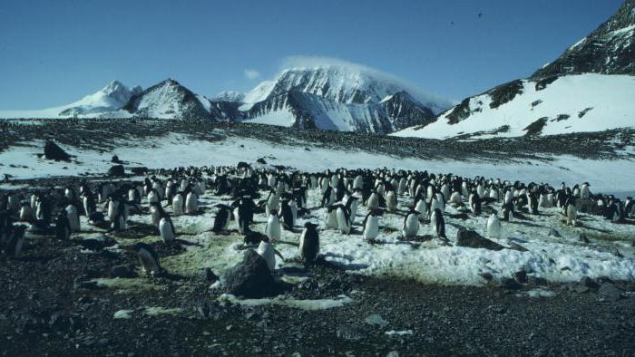 Punctele extreme ale Antarcticii. Scurtă descriere a continentului