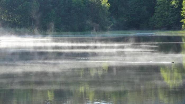 pe ce cauze depinde rata de evaporare a lichidului