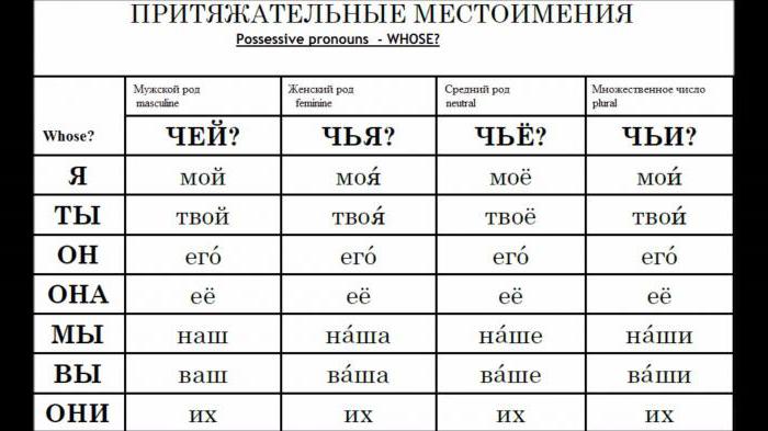 Pronumele posesive în limba rusă. Caracteristicile lor, exemple de utilizare în cifra de afaceri durabilă.