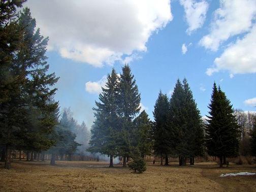 Grădina Botanică din Novgorod