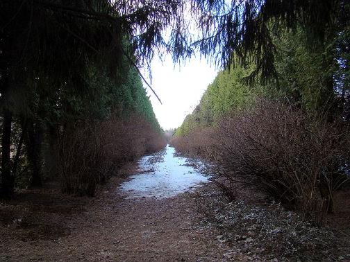 Grădina botanică a fotografiilor de la Nijni Novgorod