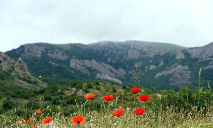 Unde este orașul Alushta