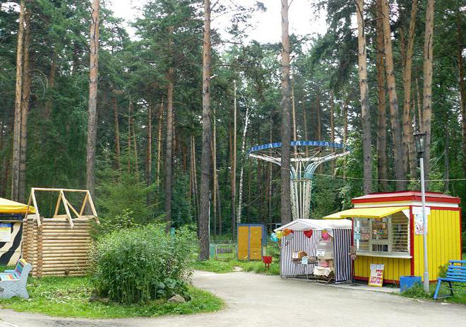 parc pădure de pădure Novosibirsk