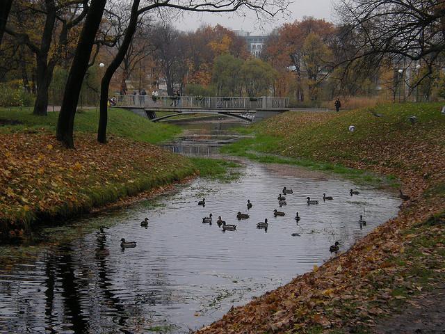 seră a grădinii Tauride