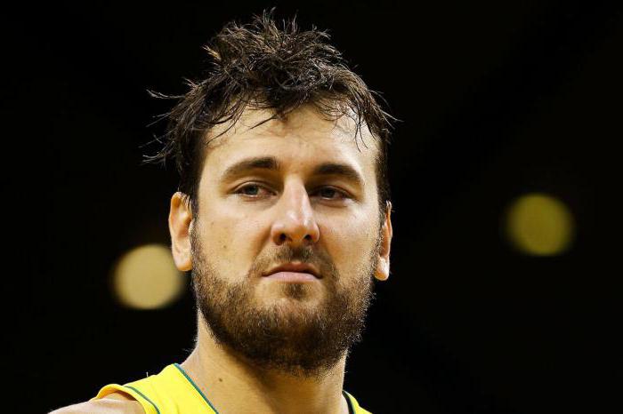 Andrew Bogut: biografie, carieră, statistici