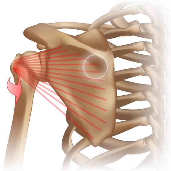 Simptome ale simptomelor cardiace