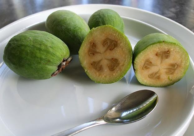 feijoa beneficiu și rău